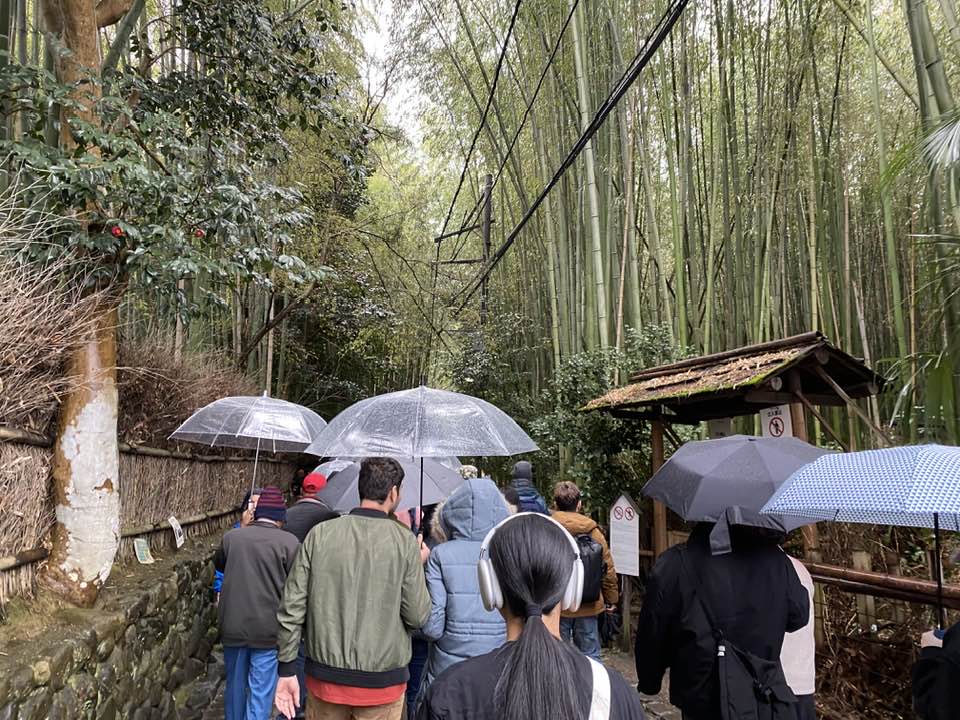 竹の小径の混雑