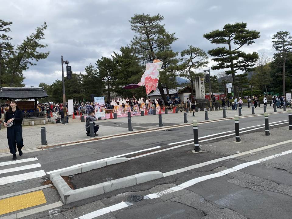 八重08