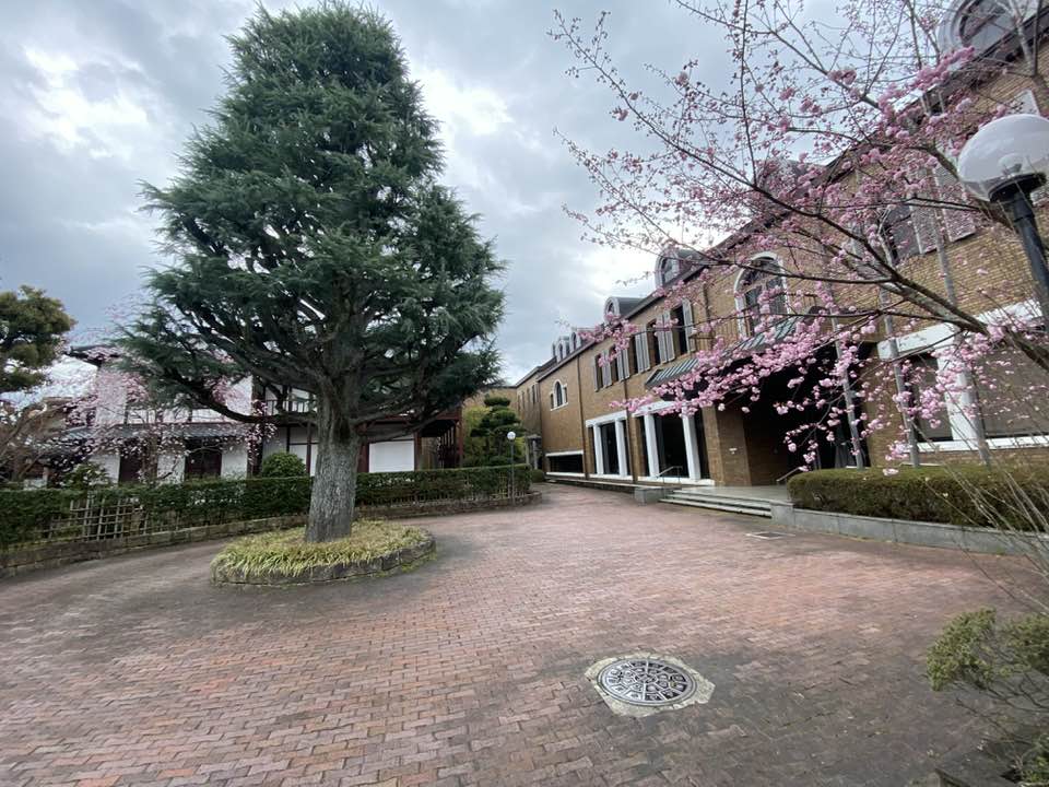 八重13